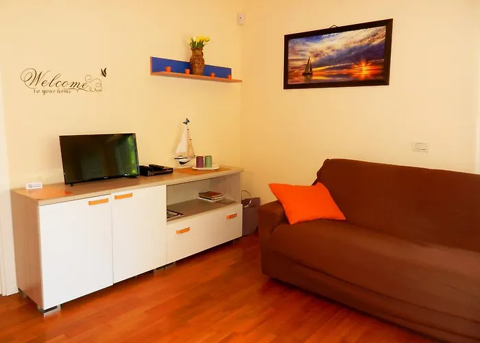 Collemare * 페자로