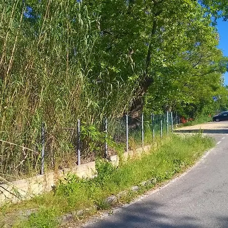 Collemare Appartamento Pesaro
